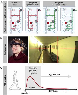 Testing Navigation in Real Space: Contributions to Understanding the Physiology and Pathology of Human Navigation Control